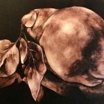 Galerie Elèves sur les fonds sombres