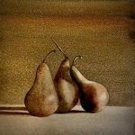 Galerie Elèves sur les fonds sombres