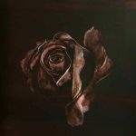 Galerie Elèves sur les fonds sombres