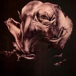 Galerie Elèves sur les fonds sombres