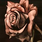 Galerie Elèves sur les fonds sombres