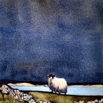 Galerie Elèves sur les moutons
