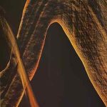 Galerie Autrement Evelyne Delfour